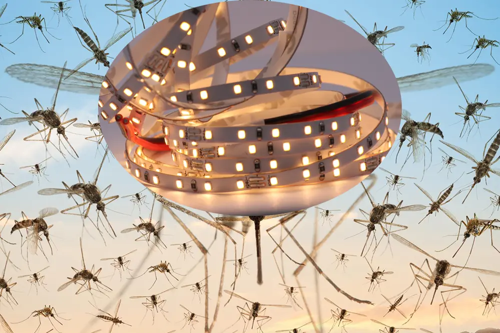 Are Mosquitoes Attracted to Light Sources