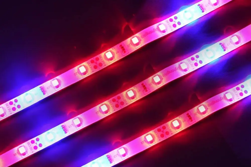 Benefits of LED Strips for Plant Growth