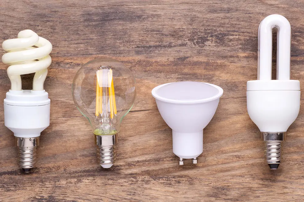 Choosing the Right Bulbs