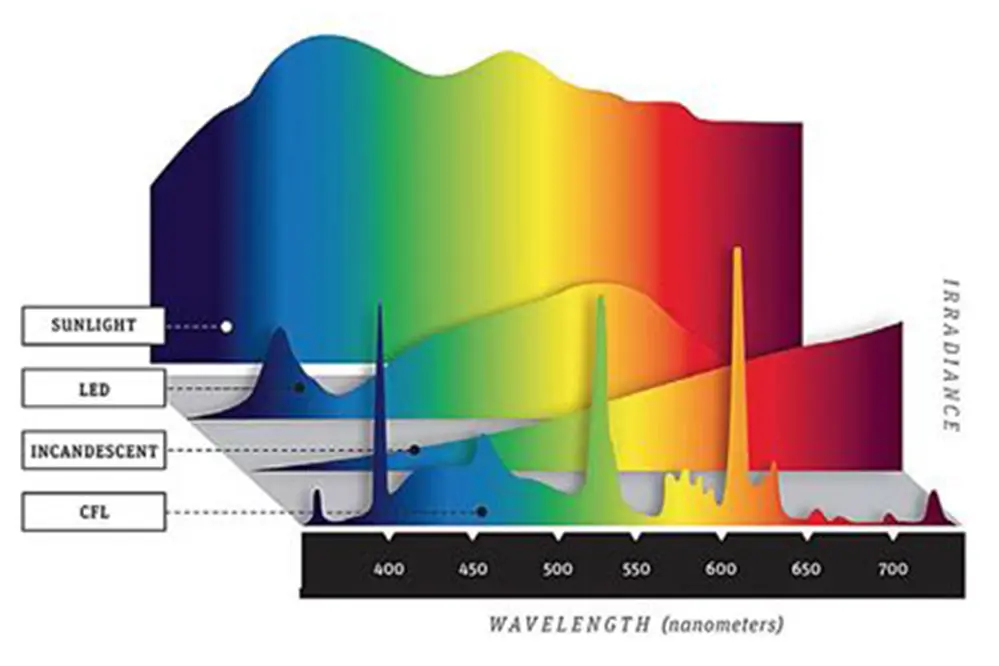 Full Spectrum Lighting- The Complete Guide