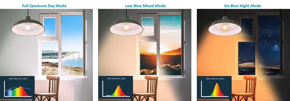 Full Spectrum Lighting vs. Standard Lighting