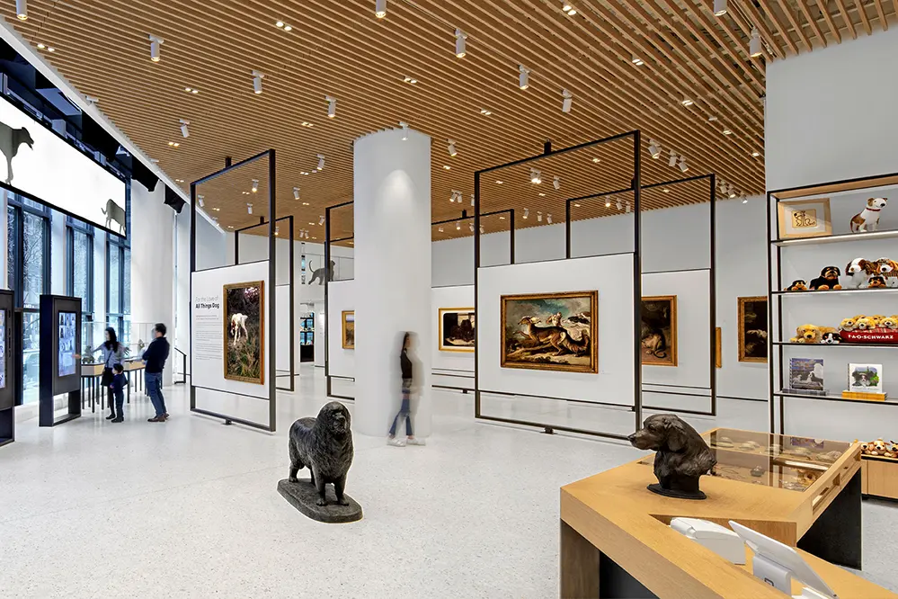 Future Trends in Museum Lighting Technology