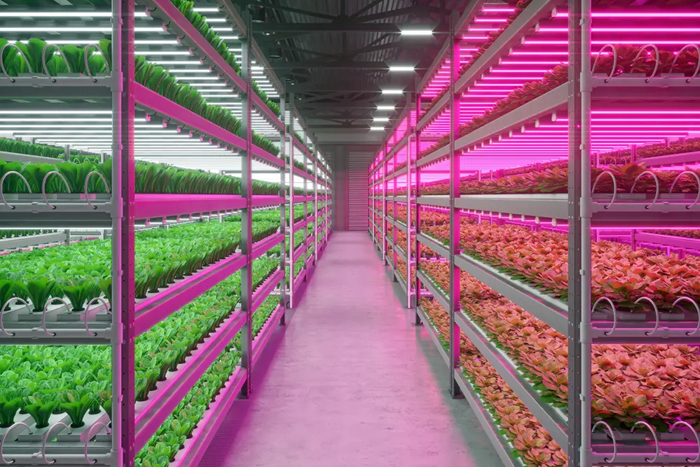 LED Agricultural Lighting