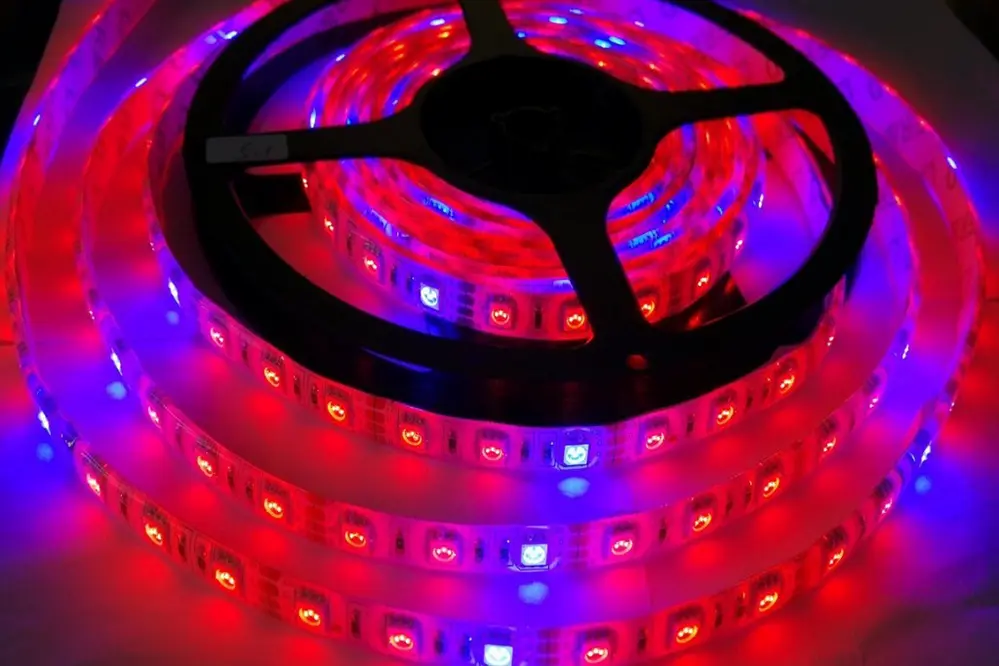 LED Strip Lights for Growing Weed