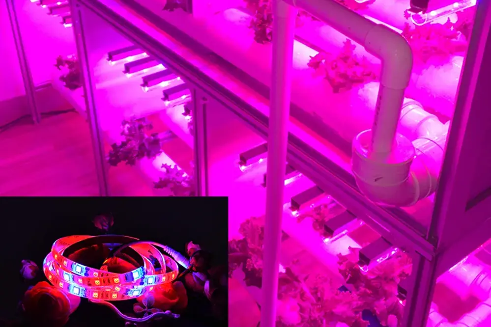 LED Strips for Growing Plants