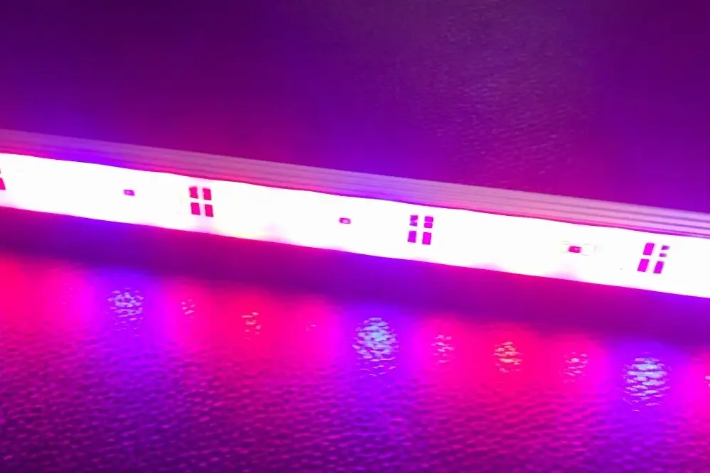 Rigid LED Strips grow light