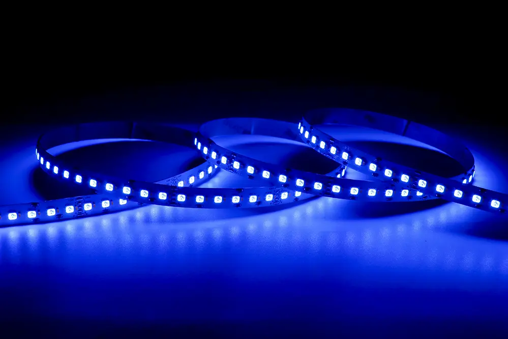 SMD3838 LED Strip-RGBW 240LEDs-10mm(4)