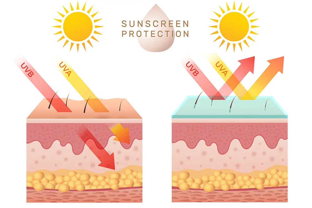 Sunscreen Protection Against UV Radiation