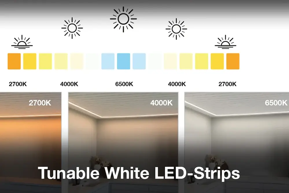 Tunable White Strips for Versatile Lighting