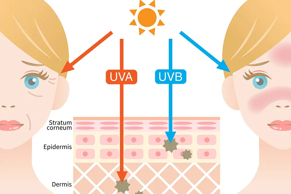 UVA's Impact on Skin and Health