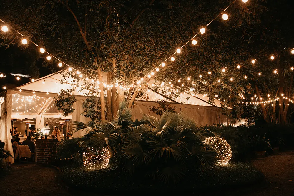 Wedding String Lights