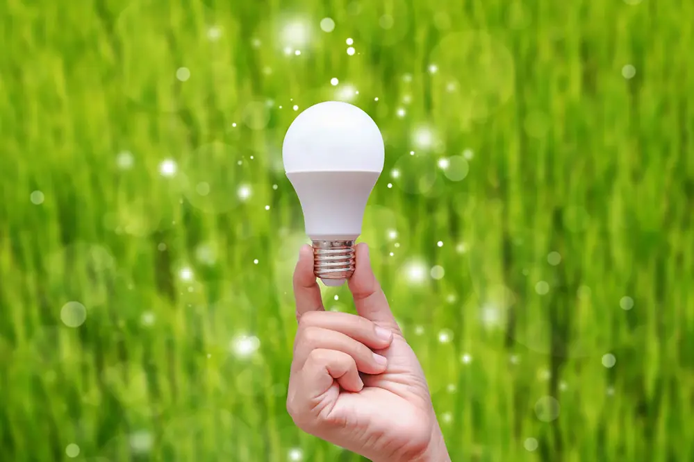 environmental impact of LEDs